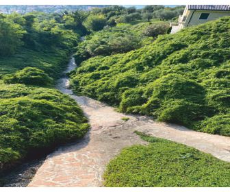 Anwendungsbereiche_Hypnose