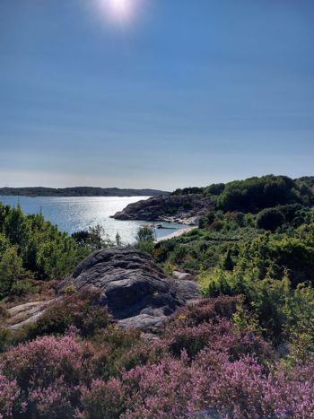 Lebenskrise durch Erkenntnisse und Life Coaching überwinden